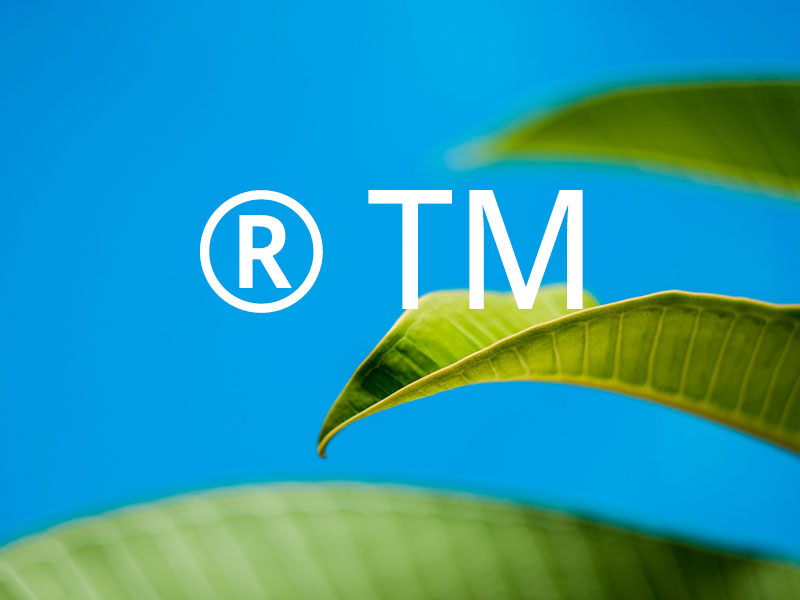 创业者注册商标应该用什么字体？-okxun.com