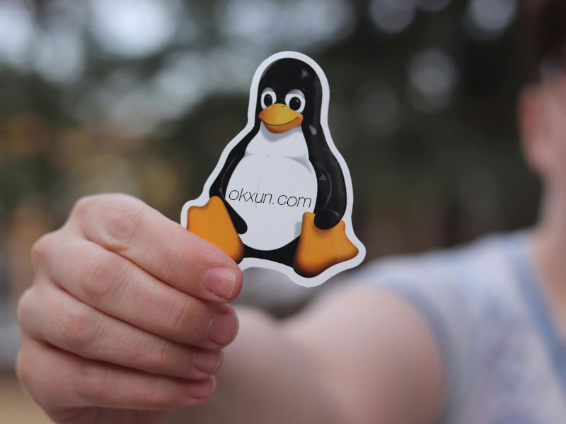 Centos stream 10系统下搭建LAMP环境的详细步骤-okxun.com